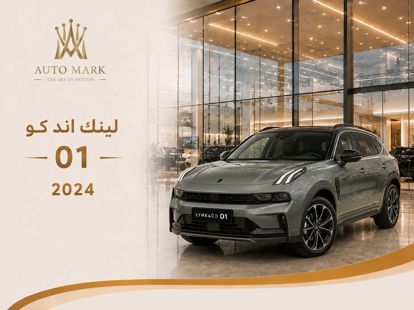 لينك اند كو 01 2024